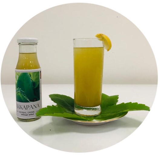  Herble Soft drink and toffee from kalanchoe (AKKAPANA) plant extract